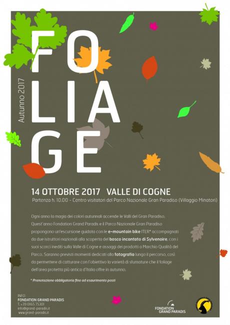 locandina foliage 2017