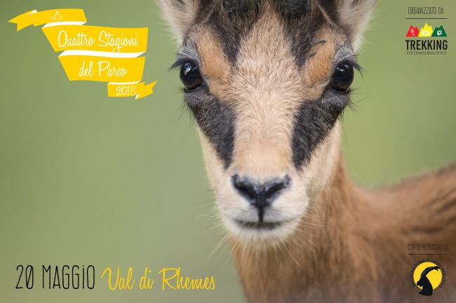 Trekking fotonaturalistici 2018: primavera in Val di Rhêmes