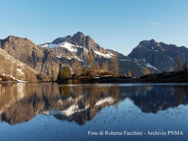 Foto di Roberto Facchini - archivio Parco Naturale del Mont Avic