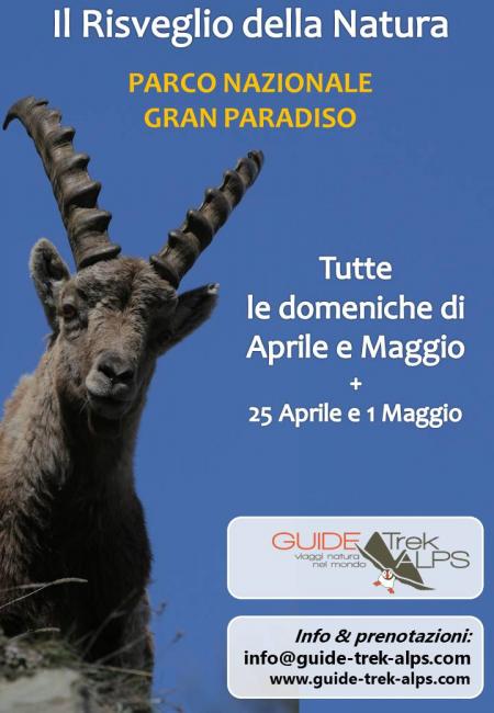 Locandina - il risveglio della natura