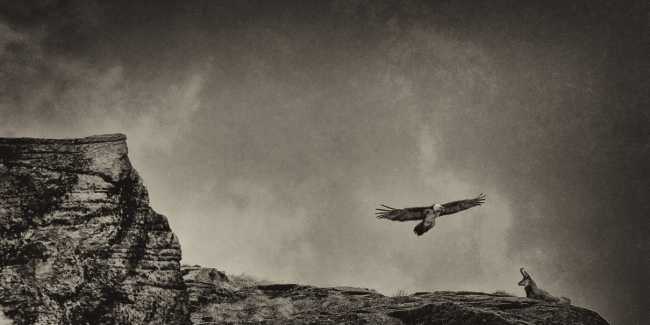 ph pierluigi cullino