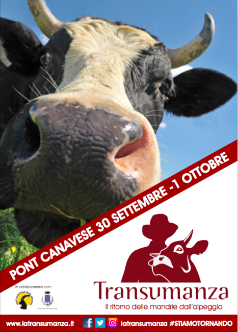 Festa della Transumanza 2017