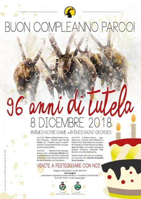 locandina 8 dicembre