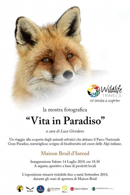 Mostra fotografica "Vita in Paradiso"