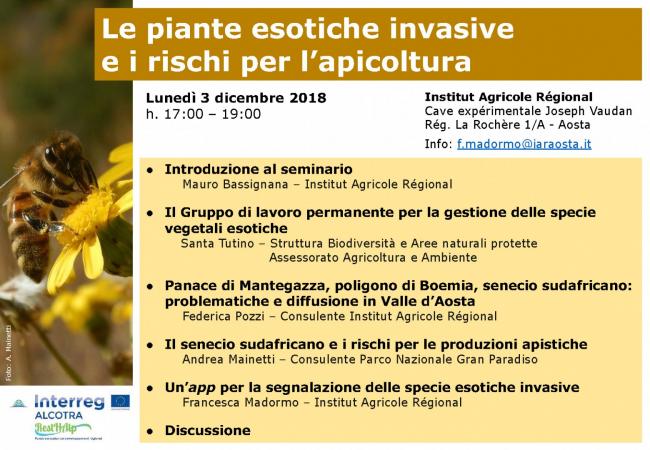 Le piante esotiche invasive e i rischi per l'apicoltura