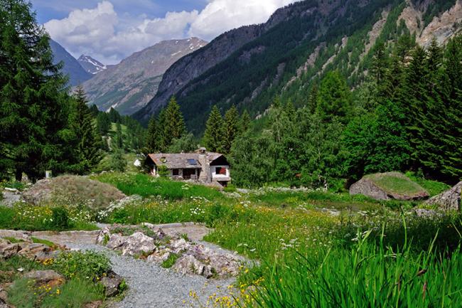 Il giardino botanico alpino Paradisia - foto di Lorenzo Rossetti
