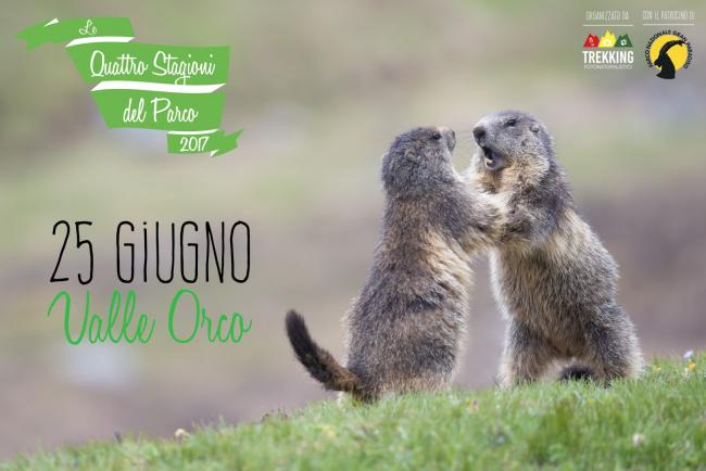 Trekking fotonaturalistici: inizio estate in Valle Orco