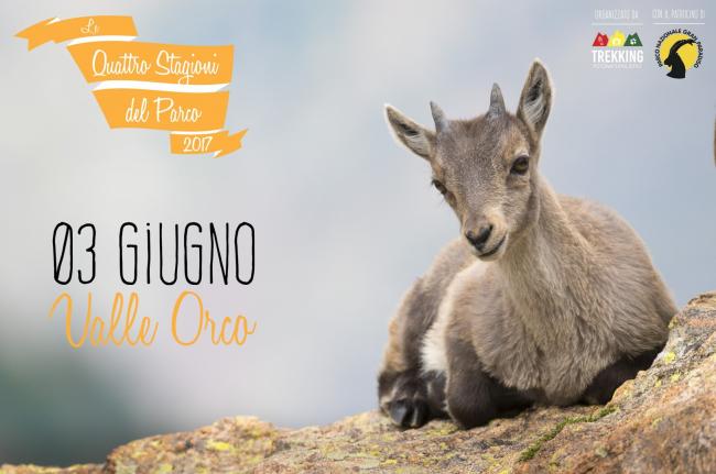 Trekking fotonaturalistici: tarda primavera in Valle Orco