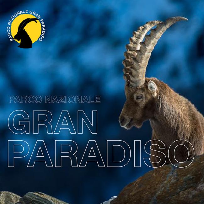 Workshop Pixcube - fotografare la fauna invernale in Valsavarenche