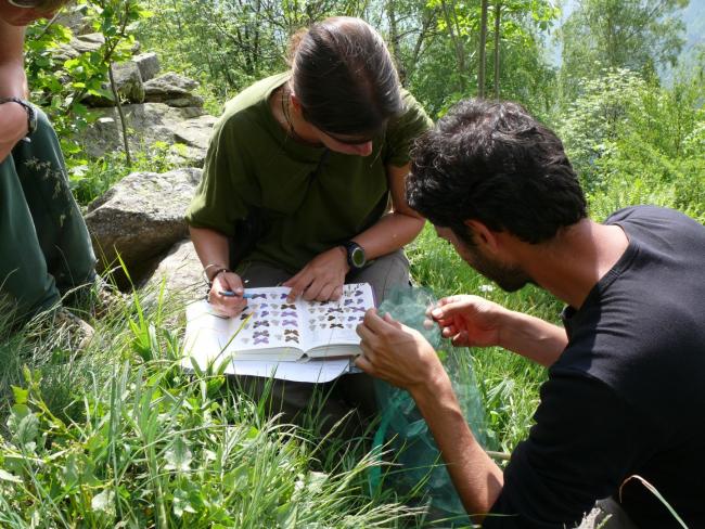 Bioblitz, Ricercatore per un giorno