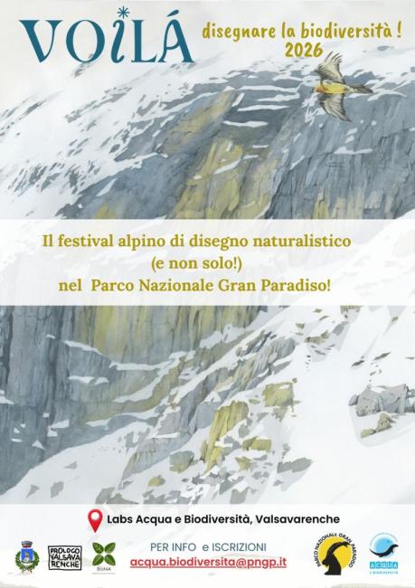 voila festival 2026 locandina